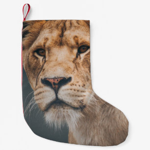 FEMALE LION AT JYLLAND PARK ZOO SMALL CHRISTMAS STOCKING