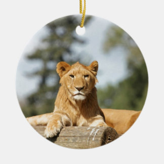 Female Lion Ceramic Tree Decoration