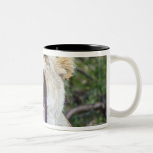 Female lion (Panthera leo), Masai Mara National Two-Tone Coffee Mug