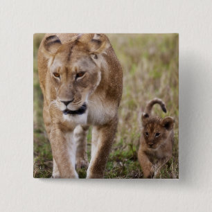 Female Lion with Cub 15 Cm Square Badge