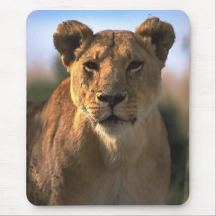 Female Lioness Lion Lovers Gifts Mouse Pad