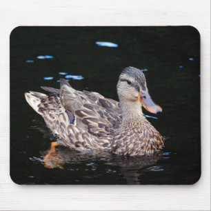 Female Mallard Duck Mouse Pad