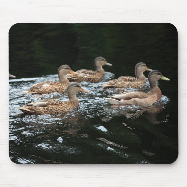 Female Mallard Ducks Mouse Pad (Front)