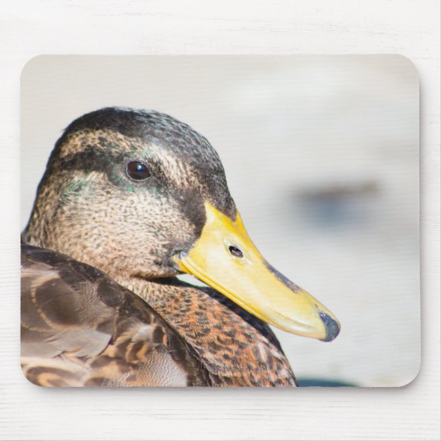 Female Mallard Mouse Pad (Front)