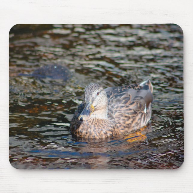 Female Mallard Mouse Pad (Front)