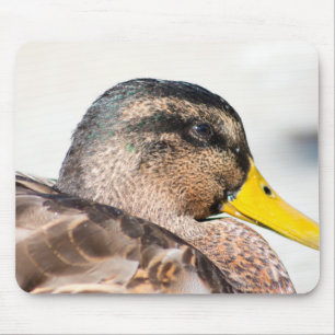 Female Mallard Mouse Pad