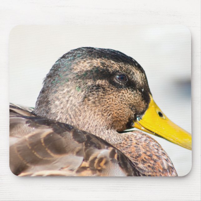 Female Mallard Mouse Pad (Front)