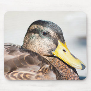 Female Mallard Mouse Pad