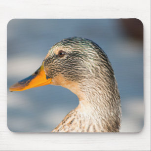 Female Mallard Mouse Pad