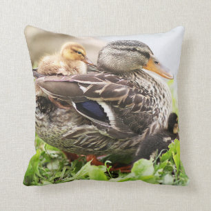Female Mallard Surrounded By Ducklings Cushion