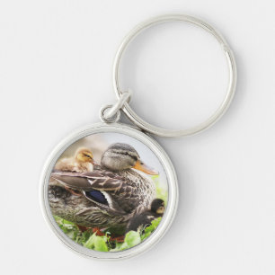 Female Mallard Surrounded By Ducklings Key Ring