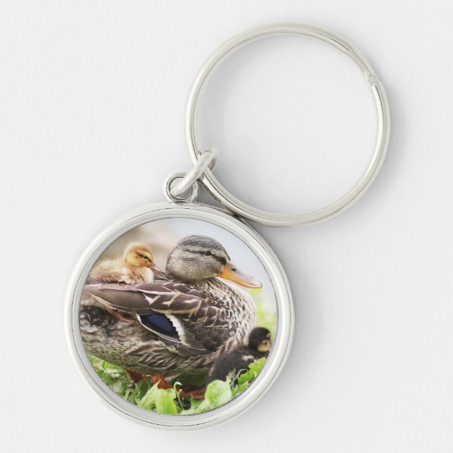 Female Mallard Surrounded By Ducklings Key Ring (Front)