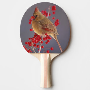 Female Northern Cardinal among hawthorn Ping Pong Paddle