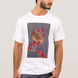 Female Northern Cardinal among hawthorn T-Shirt