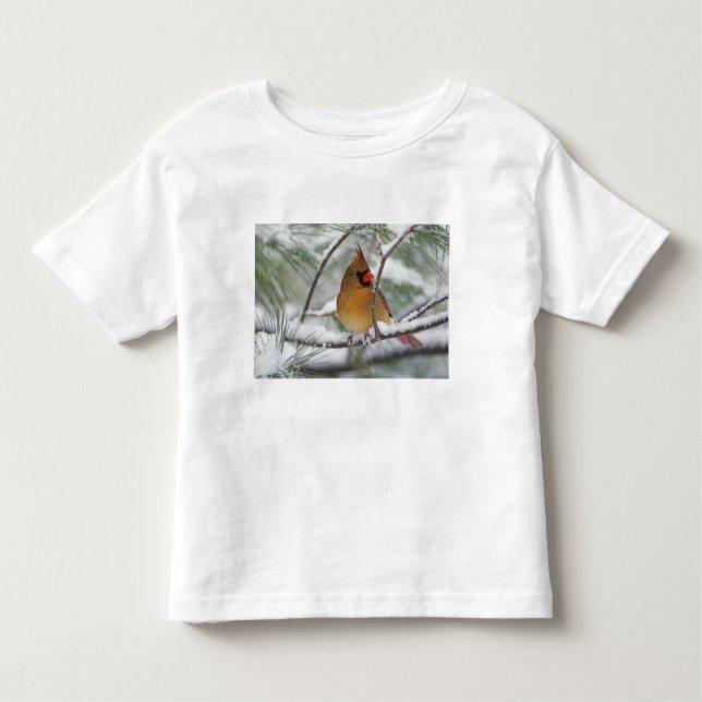 Female Northern Cardinal in snowy pine tree, Toddler T-Shirt (Front)