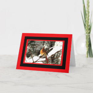 Female Northern Cardinal Sitting On Snowy Tree Holiday Card