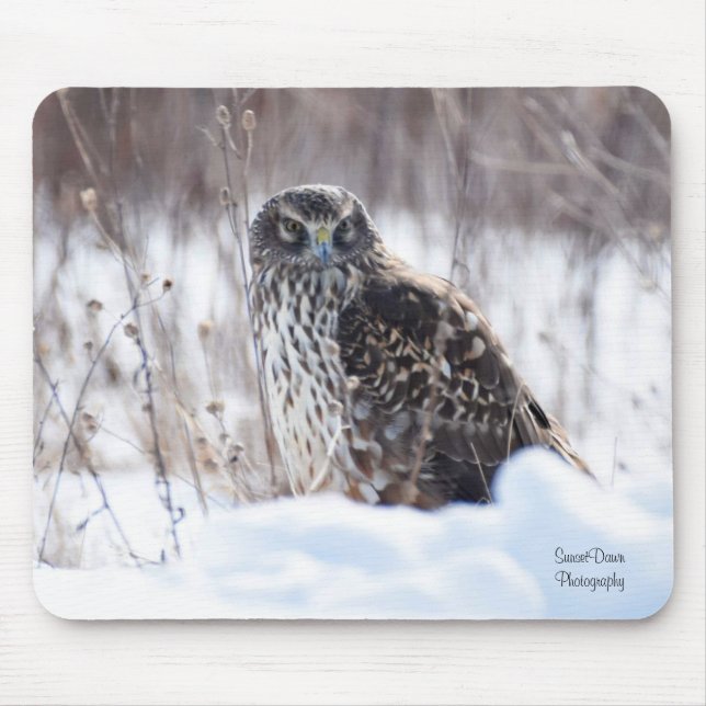 Female Northern Harrier Mouse Pad (Front)