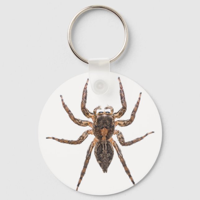 Female Pantropical Jumping Spider Key Ring (Front)