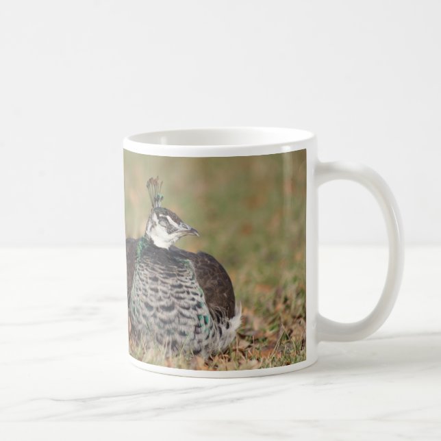 Female Peacock sleeping mug (Right)