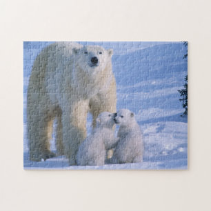 Female Polar Bear Standing with 2 Cubs at her Jigsaw Puzzle