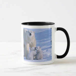 Female Polar Bear Standing with 2 Cubs Mug