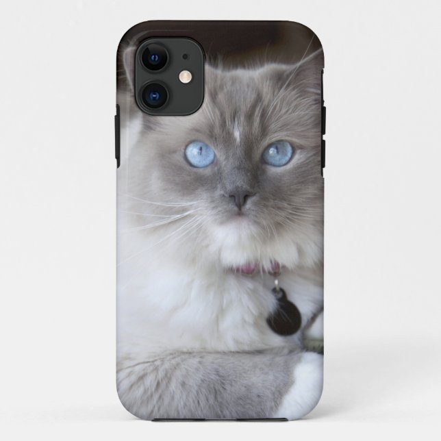 Female Ragdoll Cat Case-Mate iPhone Case (Back)