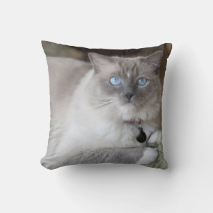 Female Ragdoll Cat Cushion