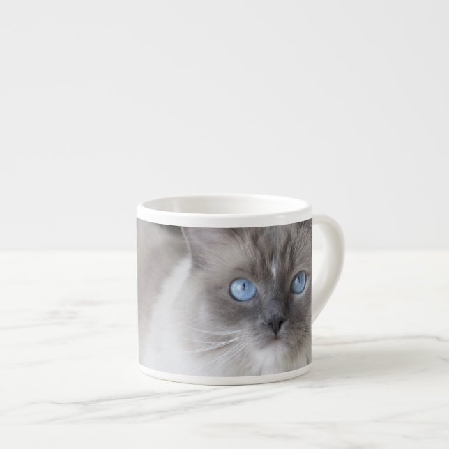 Female Ragdoll Cat Espresso Cup (Front Right)