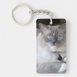 Female Ragdoll Cat Key Ring