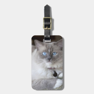 Female Ragdoll Cat Luggage Tag