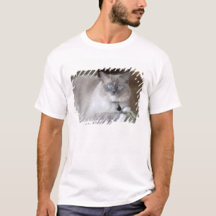 Female Ragdoll Cat T-Shirt