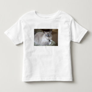 Female Ragdoll Cat Toddler T-Shirt