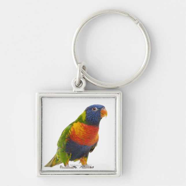 Female Rainbow Lorikeet - Trichoglossus Key Ring (Front)