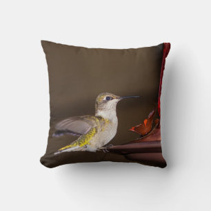Female Ruby-throated Hummingbird Cushion