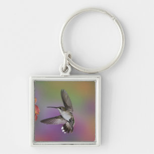 Female Ruby Throated Hummingbird in flight Key Ring
