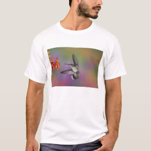 Female Ruby Throated Hummingbird in flight T-Shirt