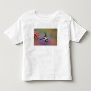 Female Ruby Throated Hummingbird in flight Toddler T-Shirt