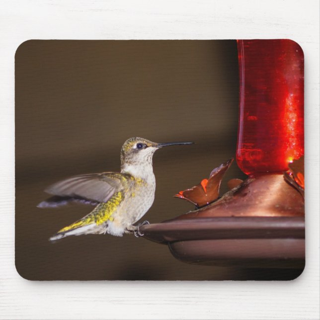 Female Ruby-throated Hummingbird Mouse Pad (Front)