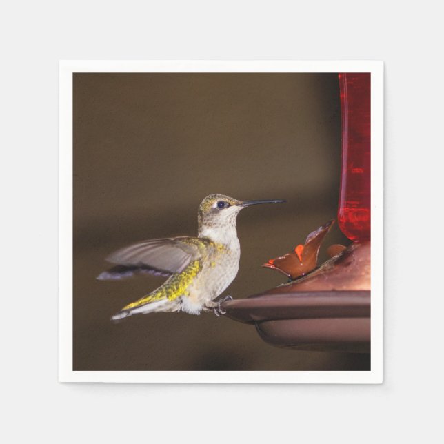 Female Ruby-throated Hummingbird Napkin (Front)