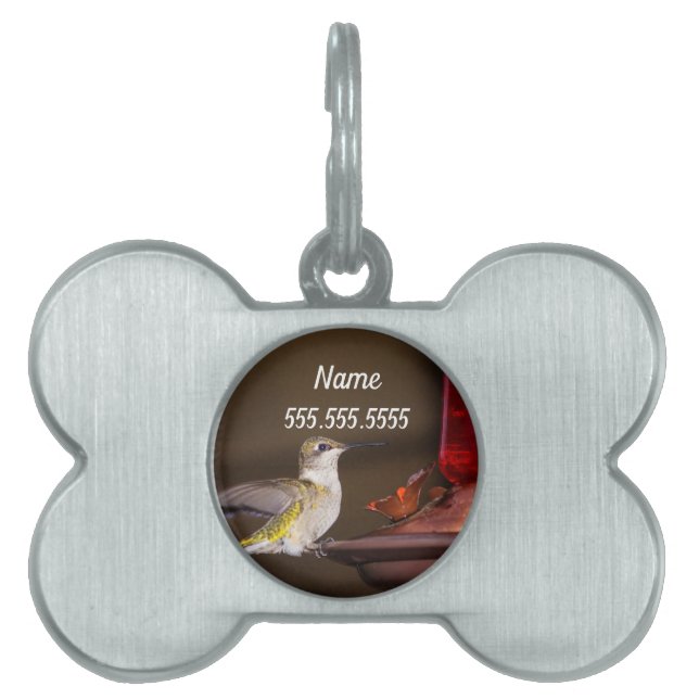 Female Ruby-throated Hummingbird Pet ID Tag (Front)