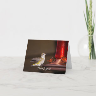 Female Ruby-throated Hummingbird Thank You Card