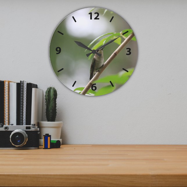 Female Ruby Throated Hummingbird (The Watcher) Large Clock (Creator Uploaded)