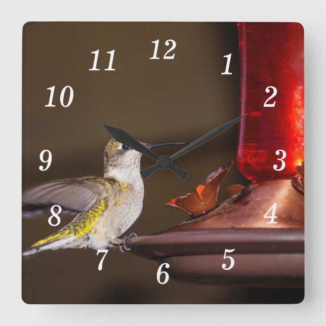Female Ruby-throated Hummingbird Wall Clock (Front)