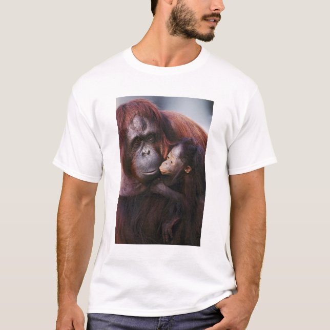 Female Sumatran Orangutan with baby, Pongo T-Shirt (Front)