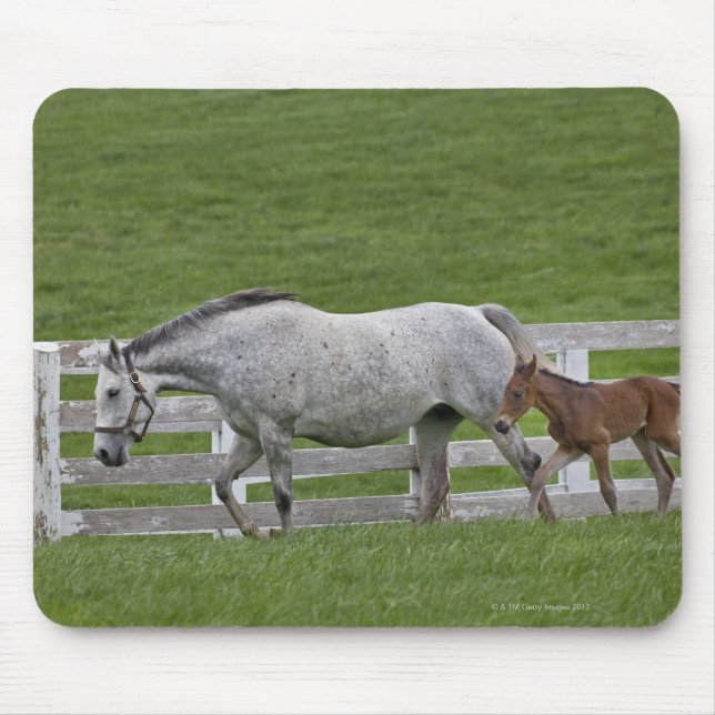 Female thoroughbred and young foal mouse pad (Front)