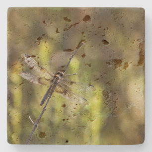 Female Widow Skimmer Dragonfly Stone Coaster