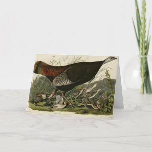 Female Wild Turkey from Audubon's Birds of America Card