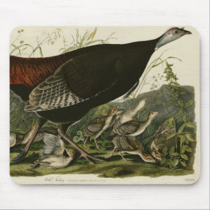 Female Wild Turkey from Audubon's Birds of America Mouse Pad