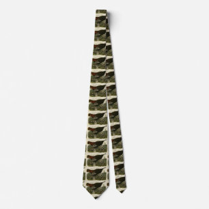 Female Wild Turkey from Audubon's Birds of America Tie