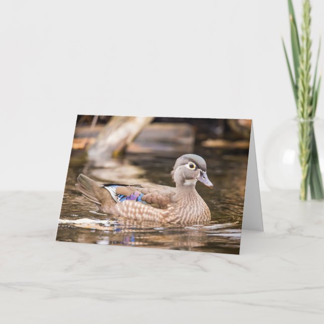 Female Wood Duck Notecard (Front)